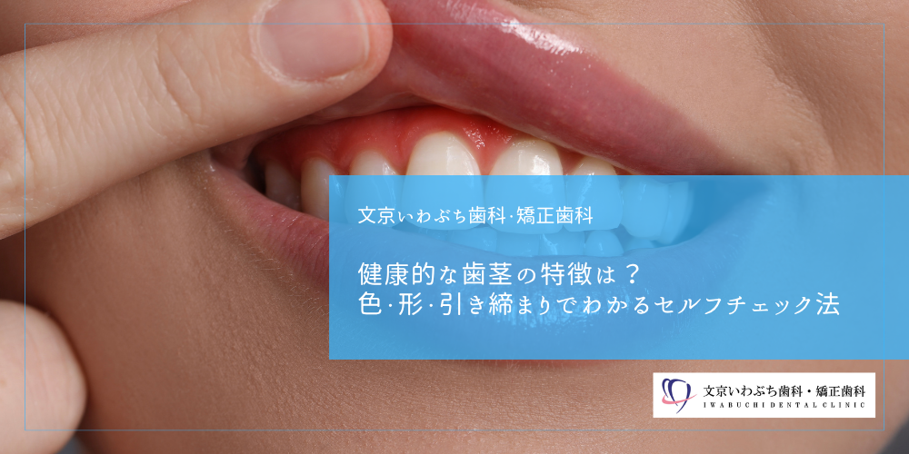 健康的な歯茎の特徴は？色・形・引き締まりでわかるセルフチェック法